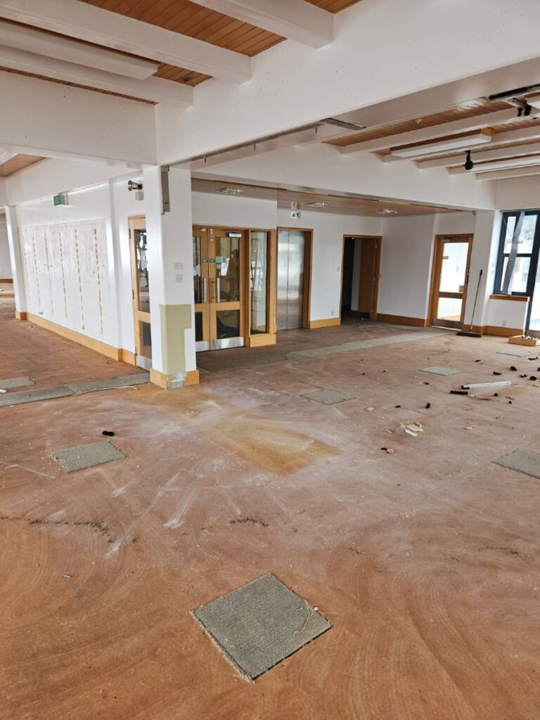 Interior building strip-out work removing non-structural materials
